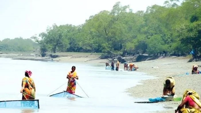 লবণাক্ত জলে নারীর জীবন-জীবিকা সুন্দরবন উপকূলে পেটের দায়ে নদীতে, স্বাস্থ্যঝুঁকিতে লাখো নারী